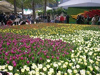 c0008439_2241784.jpg