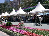 c0008439_2244274.jpg