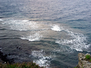 d0065247_2121814.jpg