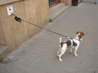 f0077150_19231630.jpg