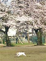 b0065067_213230.jpg