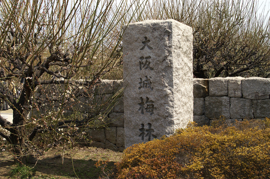 e0002371_20553667.jpg