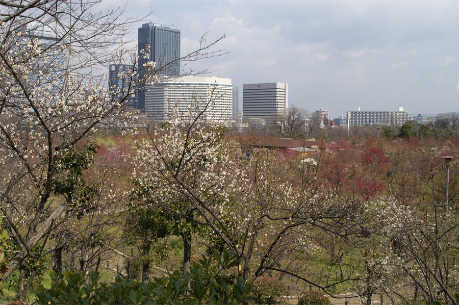 e0002371_2171064.jpg