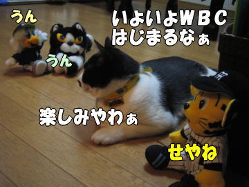 b0041182_6444977.jpg