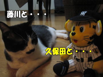 b0041182_6451890.jpg