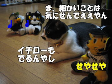 b0041182_6455746.jpg