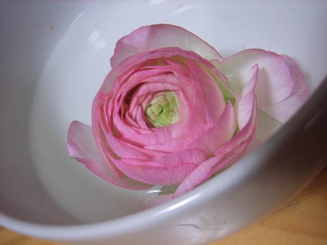 c0023789_0115121.jpg