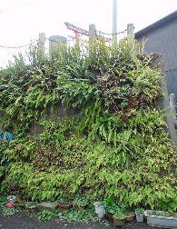 c0008598_93438.jpg