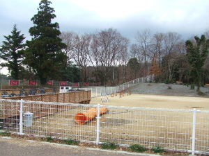 e0040602_2265294.jpg