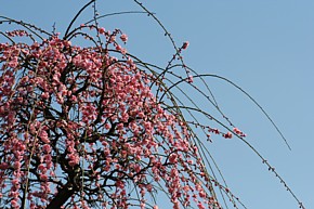 a0036412_233444.jpg