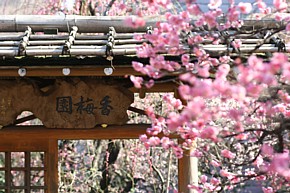 a0036412_234396.jpg