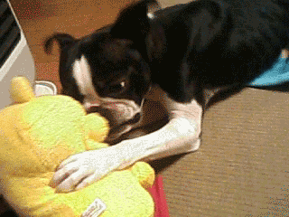e0080117_2383147.gif