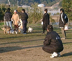 f0060424_21434941.jpg