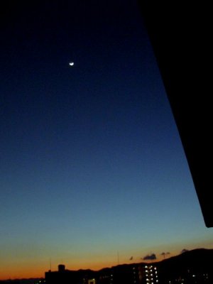 d0018131_0123323.jpg
