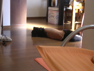 c0065643_21411353.jpg