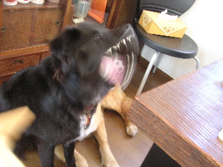 c0065643_21461085.jpg