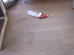 c0065643_2231686.jpg