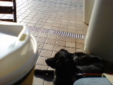 c0065643_2282988.jpg