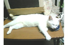 c0011446_17253238.jpg