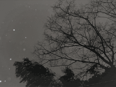f0021447_1835579.gif