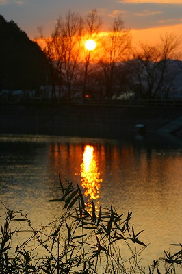 f0042548_21324758.jpg