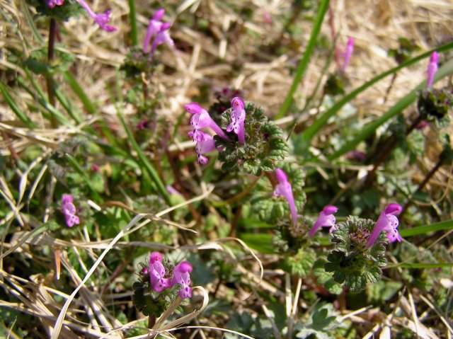 f0044056_18113396.jpg