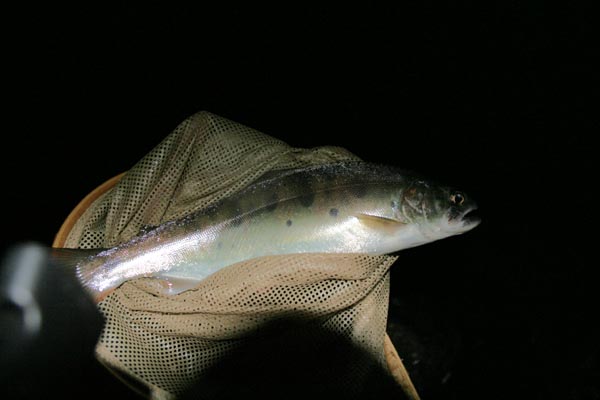 b0032262_22525314.jpg