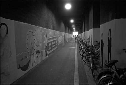 d0039162_238179.jpg