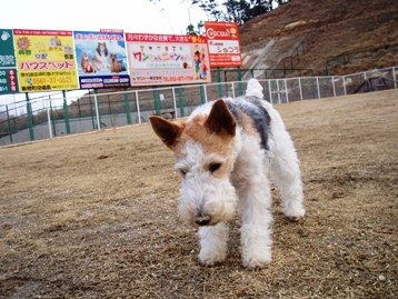 a0046069_243941.jpg