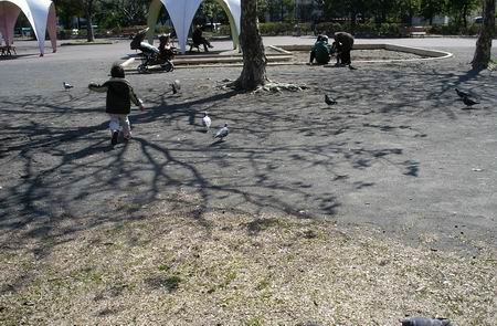 b0033169_22172730.jpg