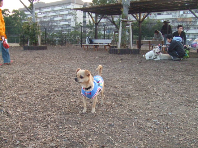a0067882_17114857.jpg