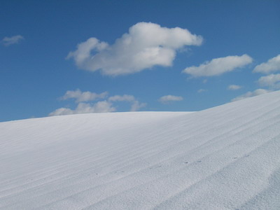 a0043193_2134179.jpg