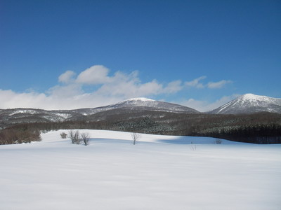 a0043193_2134818.jpg