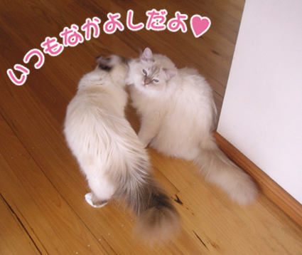 a0045697_2316506.jpg