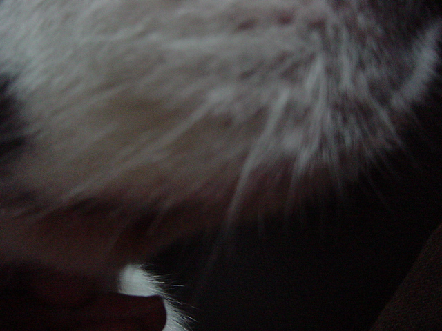e0028401_3124.jpg