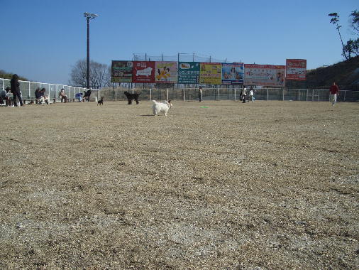 a0051402_22161354.jpg