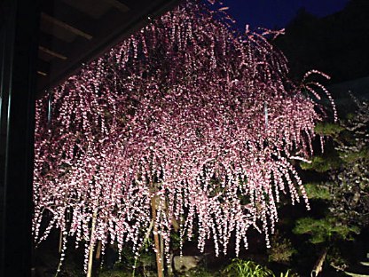b0013005_083725.jpg