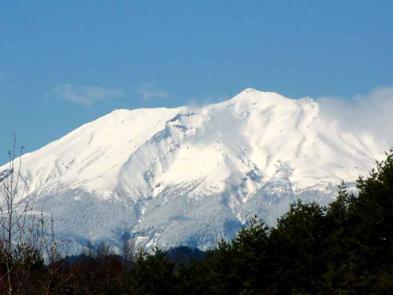 e0001110_6393550.jpg