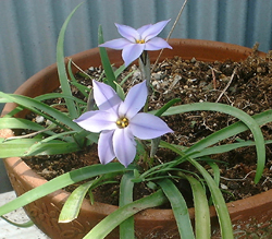 f0060424_14312451.jpg