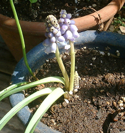 f0060424_19211472.jpg