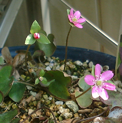 f0060424_1922445.jpg