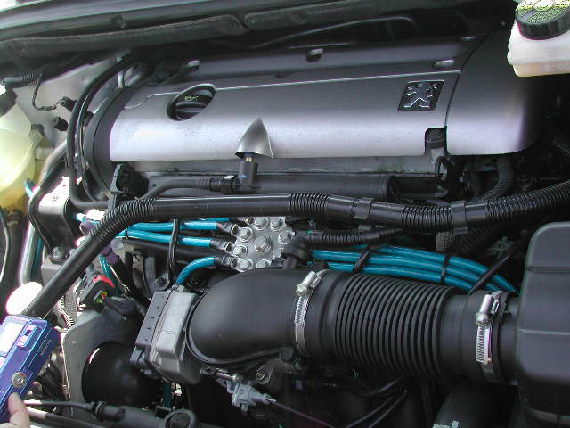 e0065830_8405666.jpg