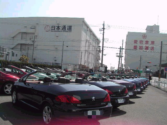 e0065830_8564759.jpg
