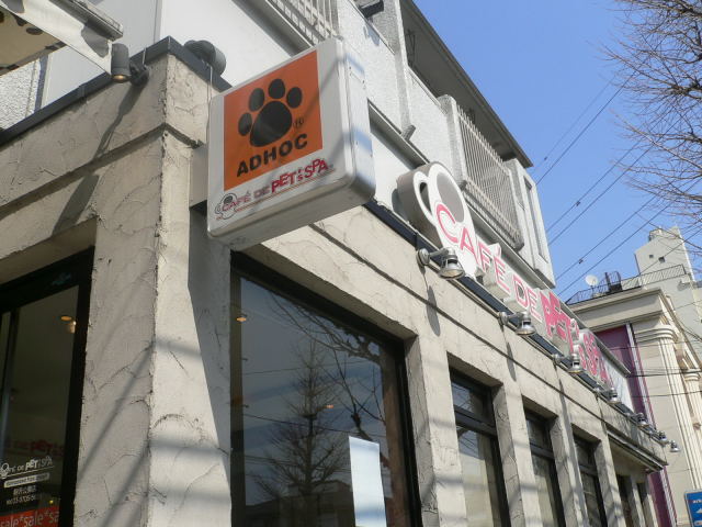 d0046031_2073025.jpg