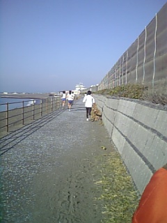 f0053847_1445381.jpg