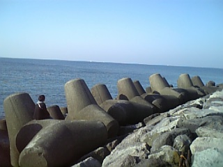 f0053847_14473512.jpg