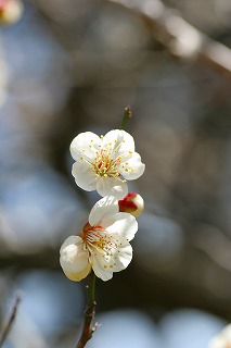 f0042548_20465833.jpg