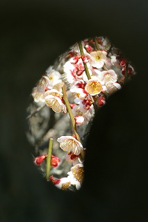 f0042548_20472253.jpg
