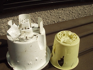 f0071053_1863511.jpg
