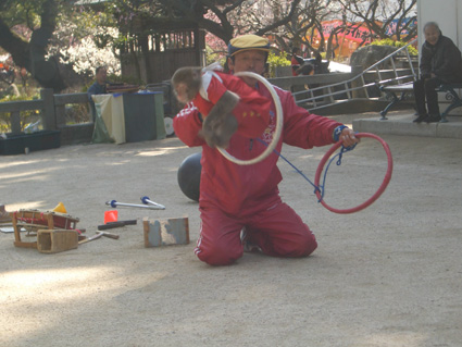 b0002156_9553191.jpg
